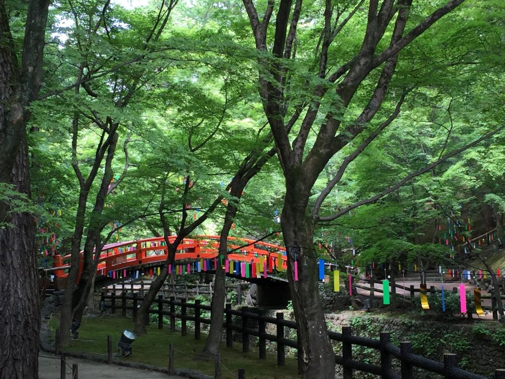 周辺観光スポット