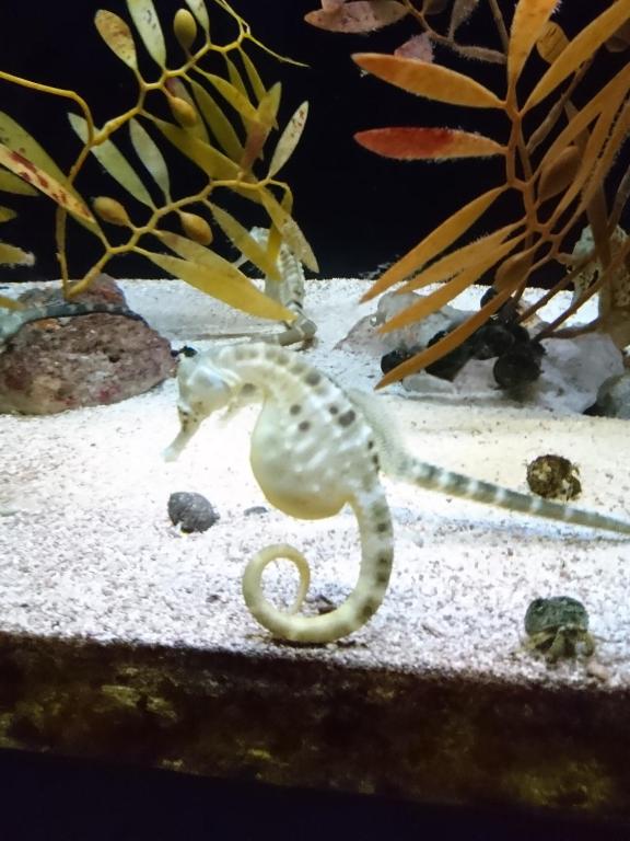 周辺観光スポット