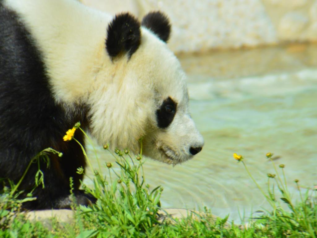 周辺観光スポット