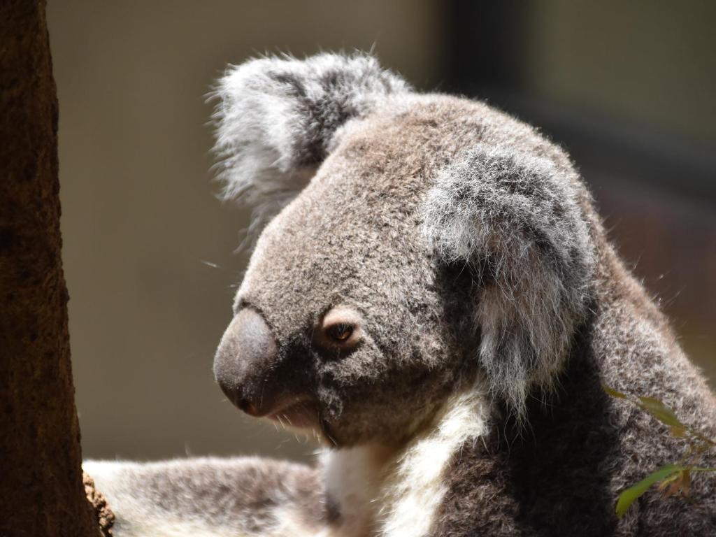 周辺観光スポット