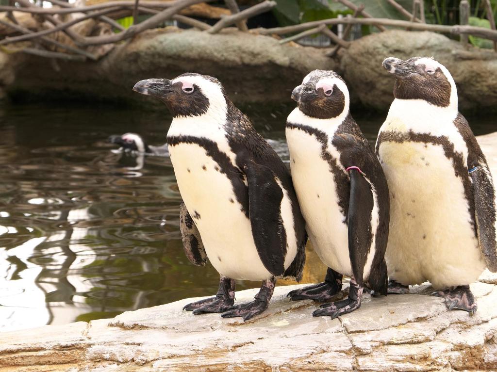 周辺観光スポット