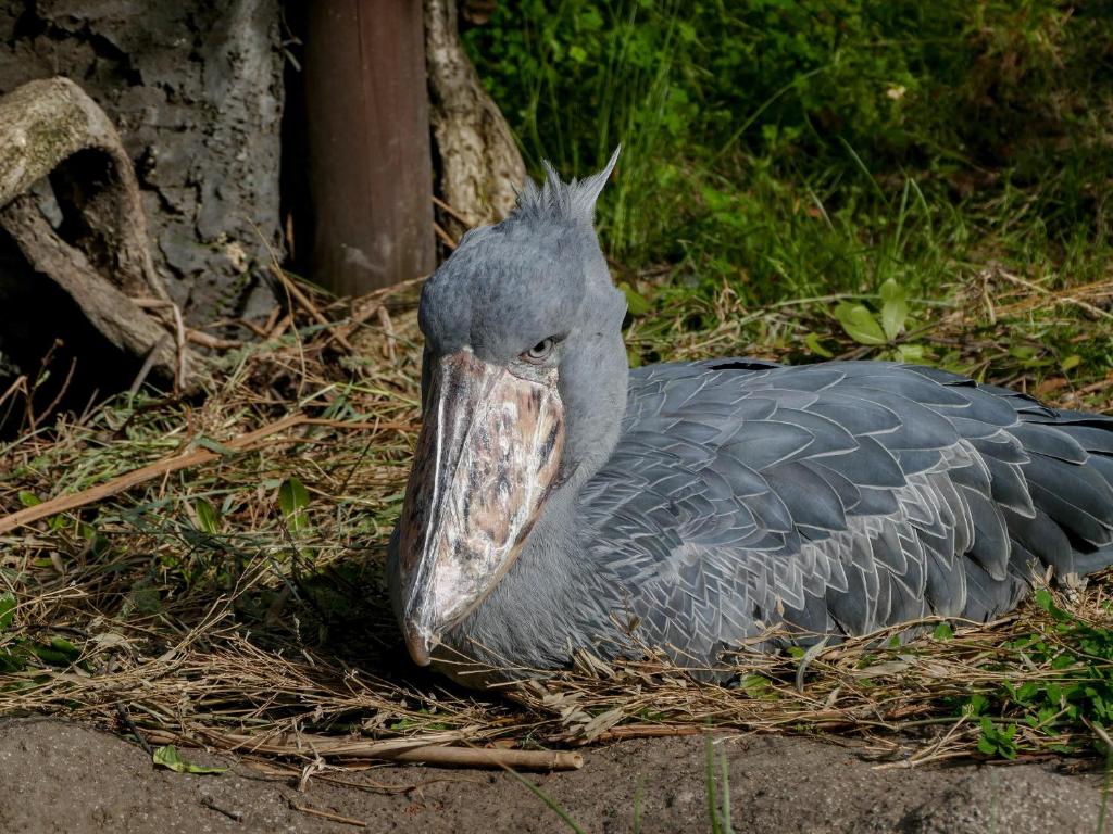 周辺観光スポット