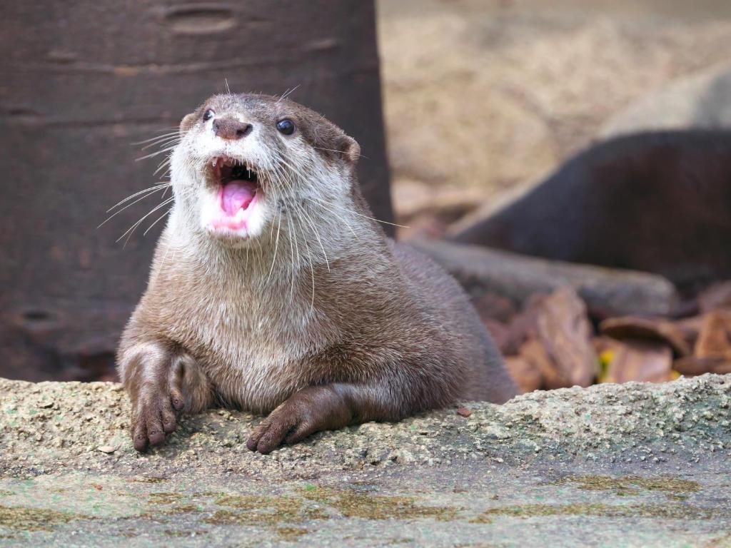 周辺観光スポット