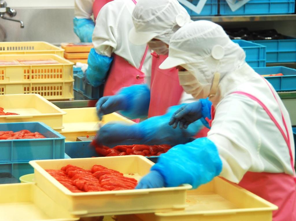 周辺観光スポット