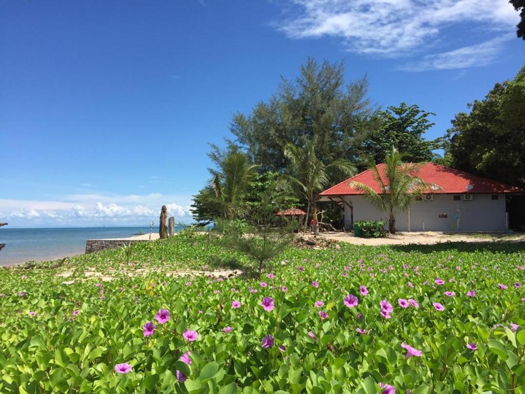 Red Coral Cottage — Hotel in Langkawi
