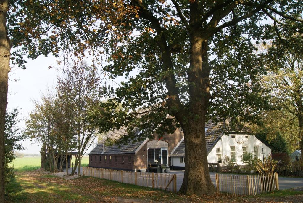 Eve Niets Hoeve