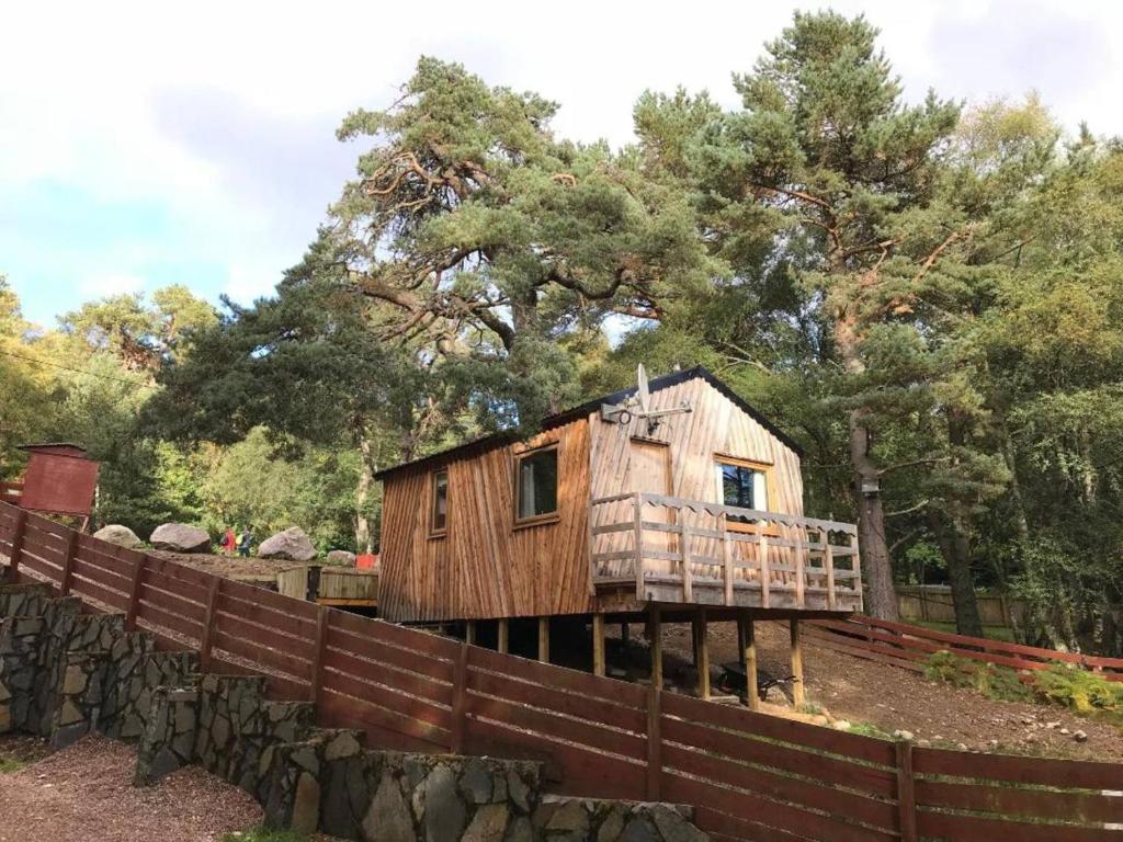 Pine Marten Bar Glenmore Treehouse — Hotel in Loch Morlich