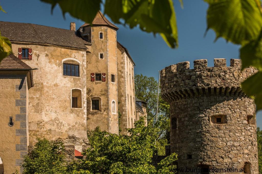 Burg Plankenstein — Hotel in Texing