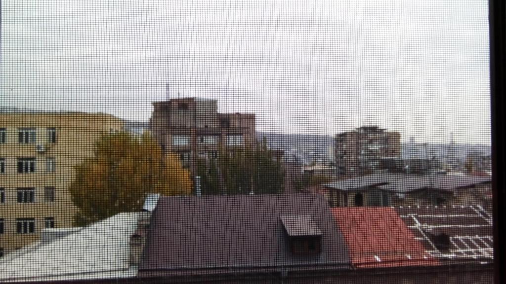 Lily's Apartment photo