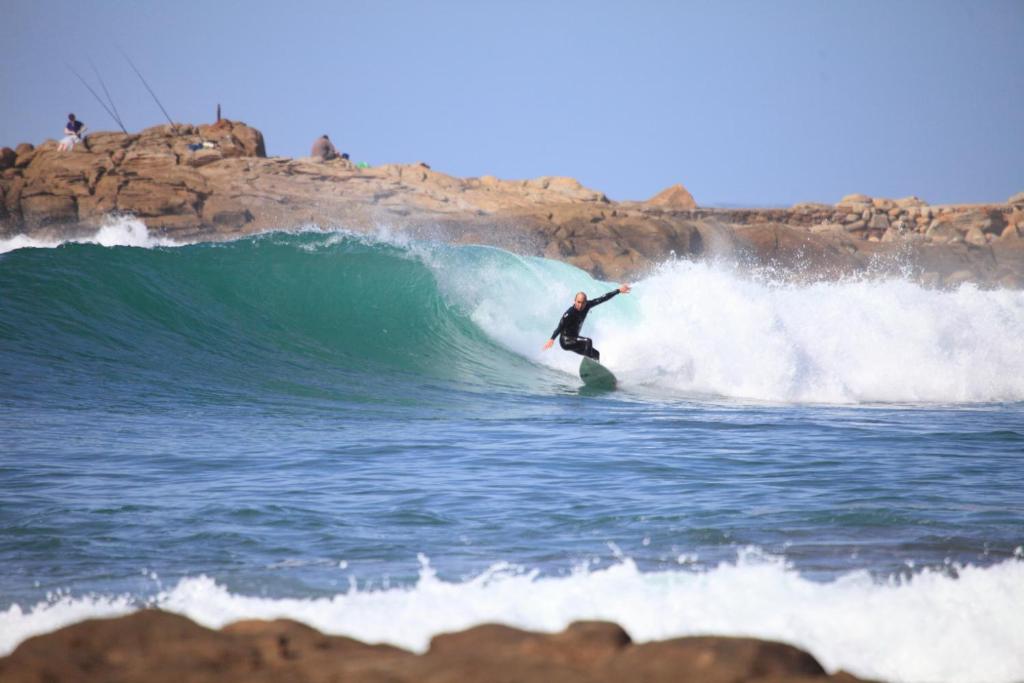 アクティビティ