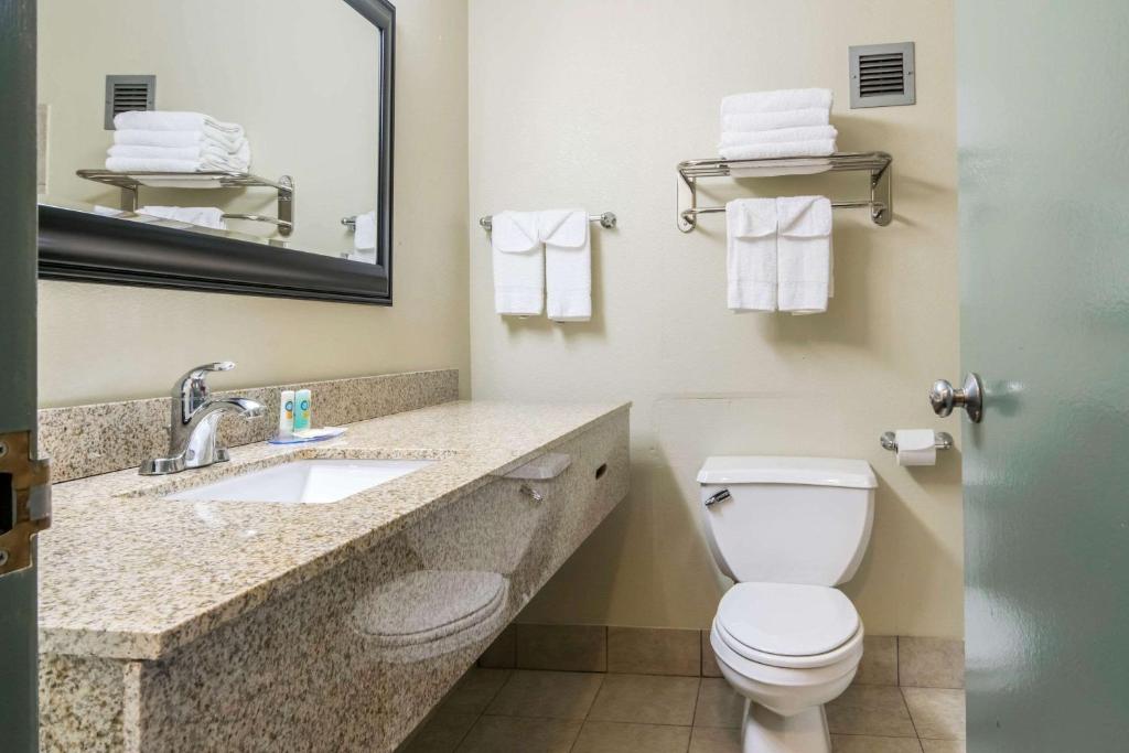 Quality Inn & Suites photo