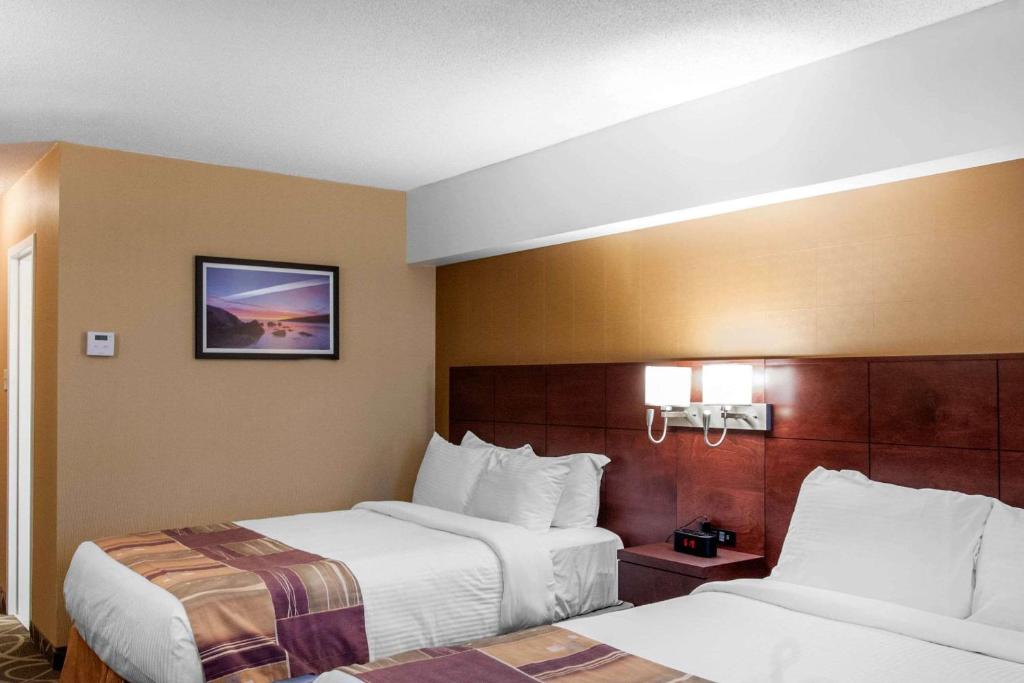 Quality Hotel & Suites Gander Photo 3