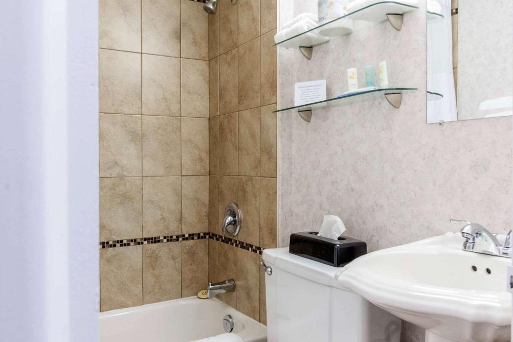 Quality Hotel & Suites Gander Photo 30
