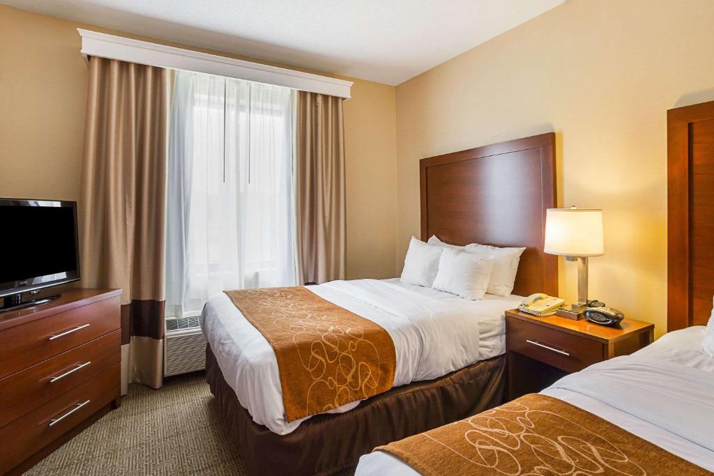 Comfort Suites Twinsburg photo