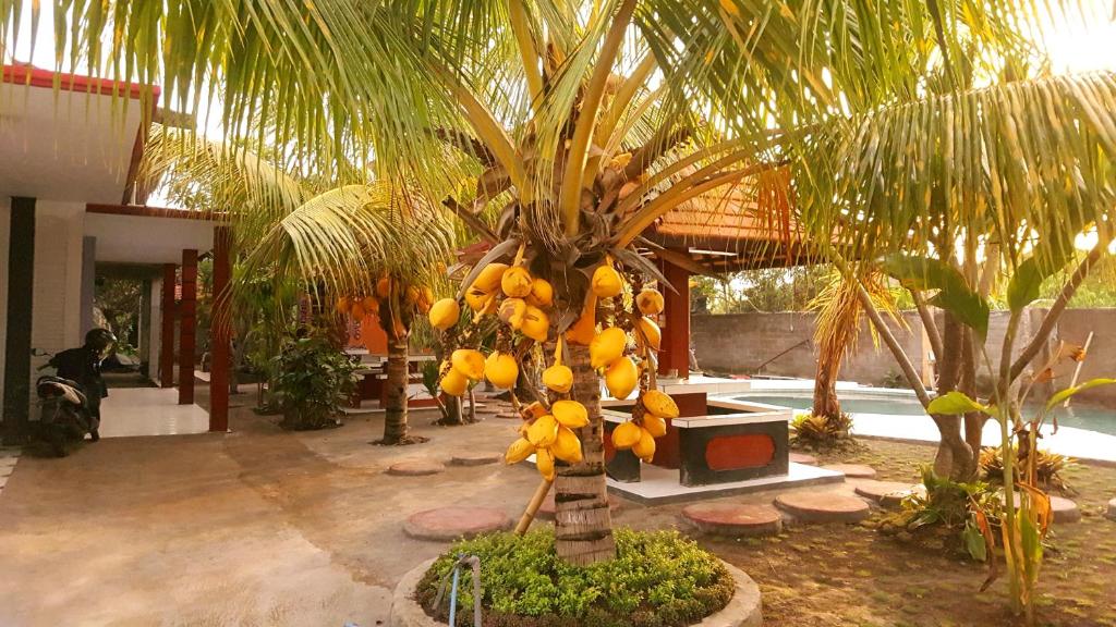 HOTEL SEGARA MANDALA photo