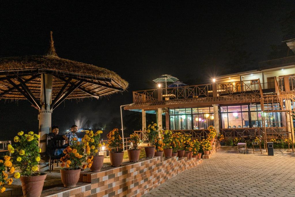 جانجل وايلد لايف كامب (Jungle Wildlife Camp)