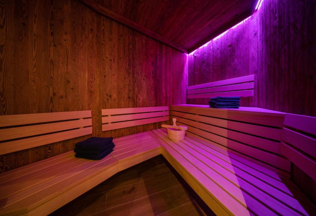 Apartments Adlerhorst Top 2 Zell am See with private sauna and in summer Zell am See Kaprun summercard - 4
