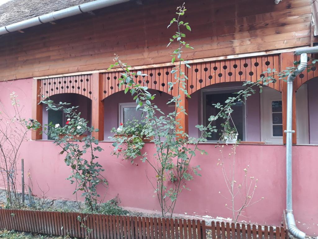 Ảnh 4