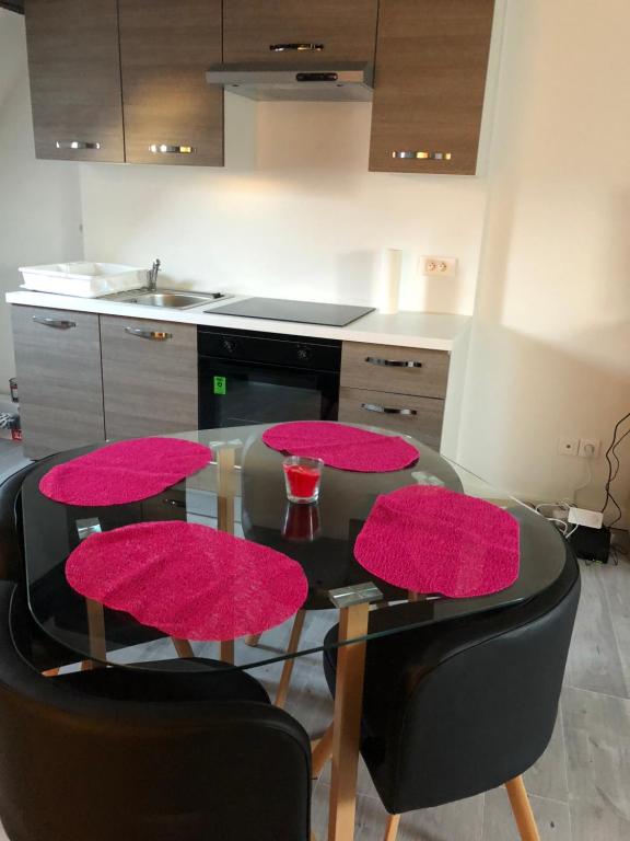 Duplex Hyper centre colmar - 2