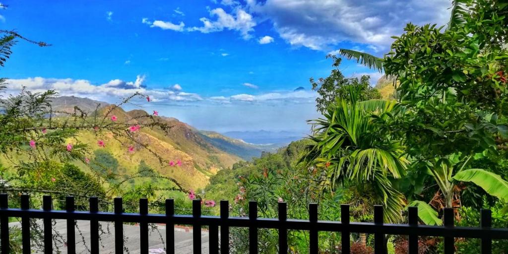 Divine View Homestay — Hotel in Ella