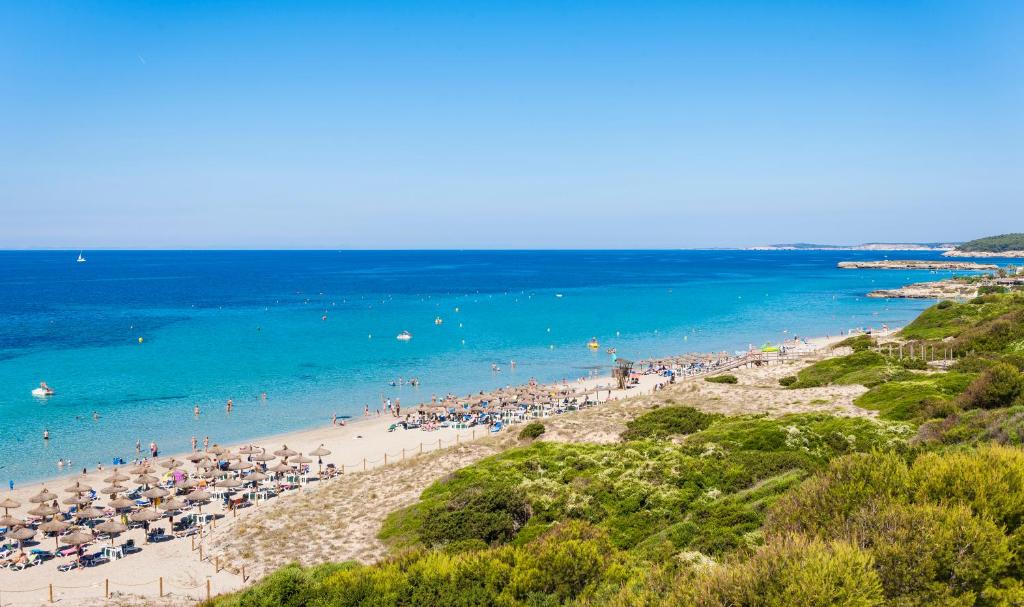 Apartamentos Globales Lord Nelson — Beach in Santo Tomas, Balearic Islands
