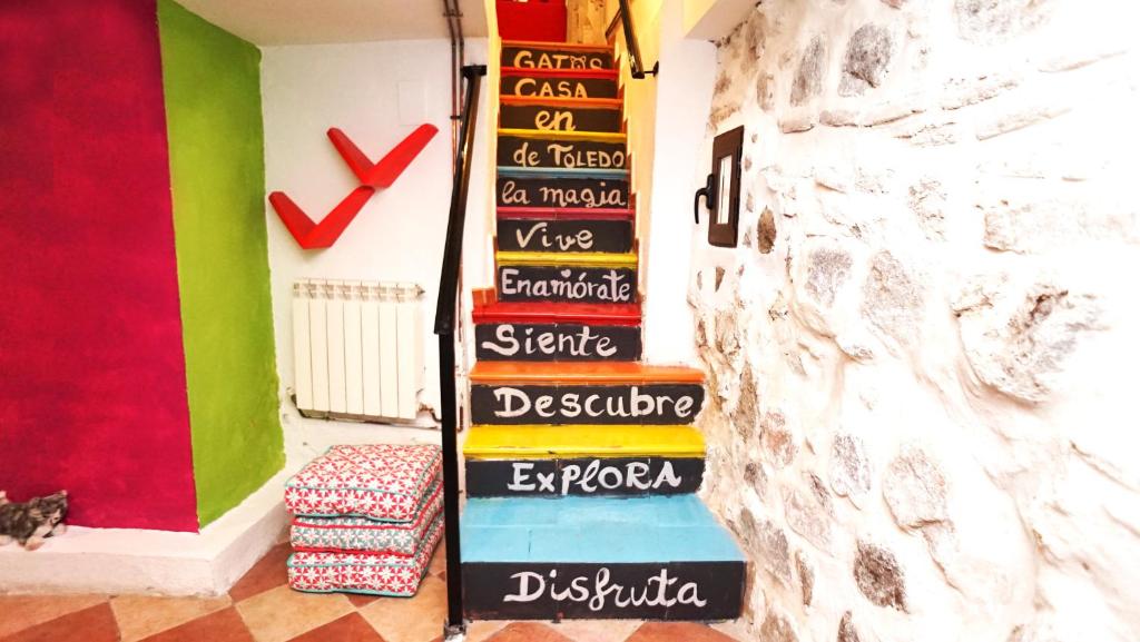 Casa Gatos - 4