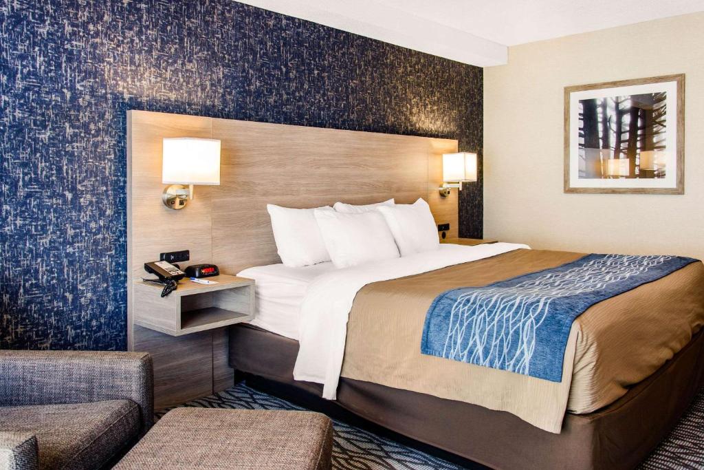 Hotel Comfort Inn Aeroport In Dorval Quebec Canada 28 - 