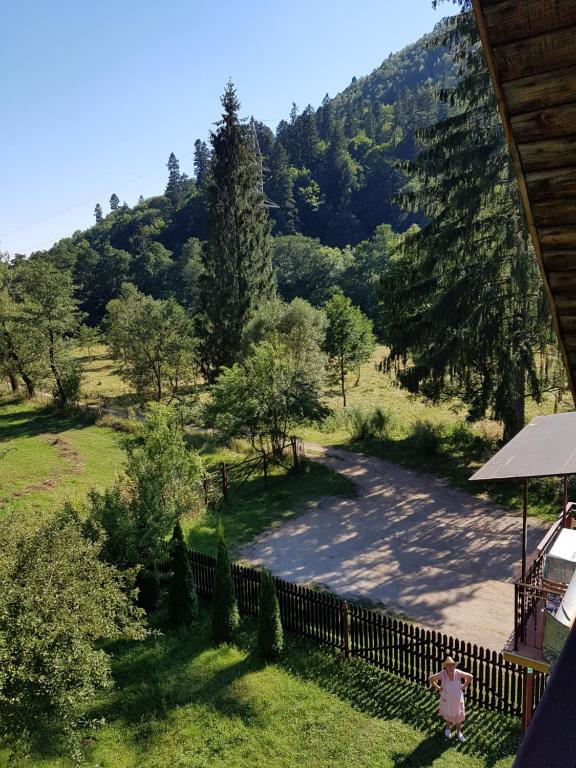 Balazs Holiday Apartment photo