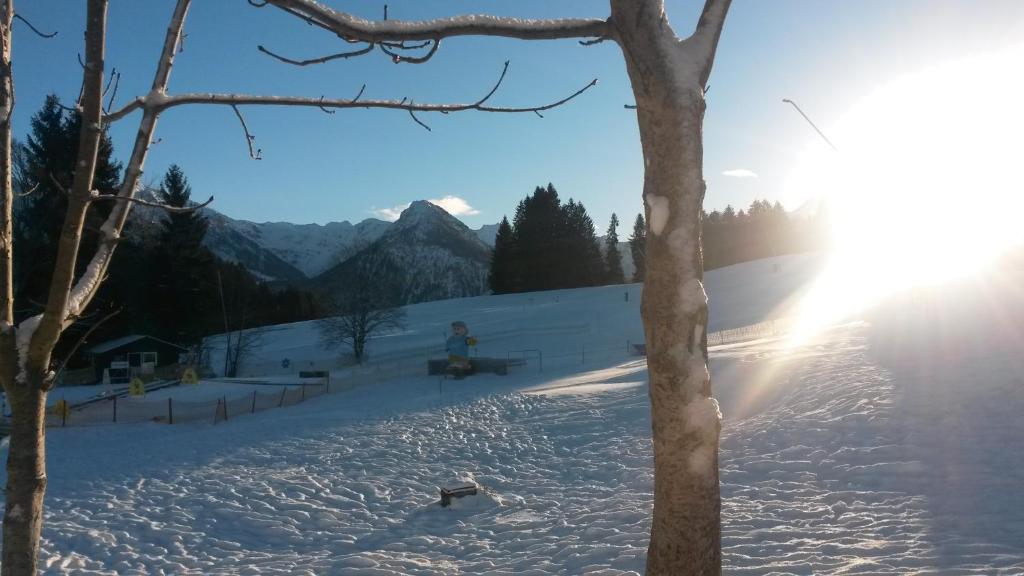 Gasthof Seeweg - 5