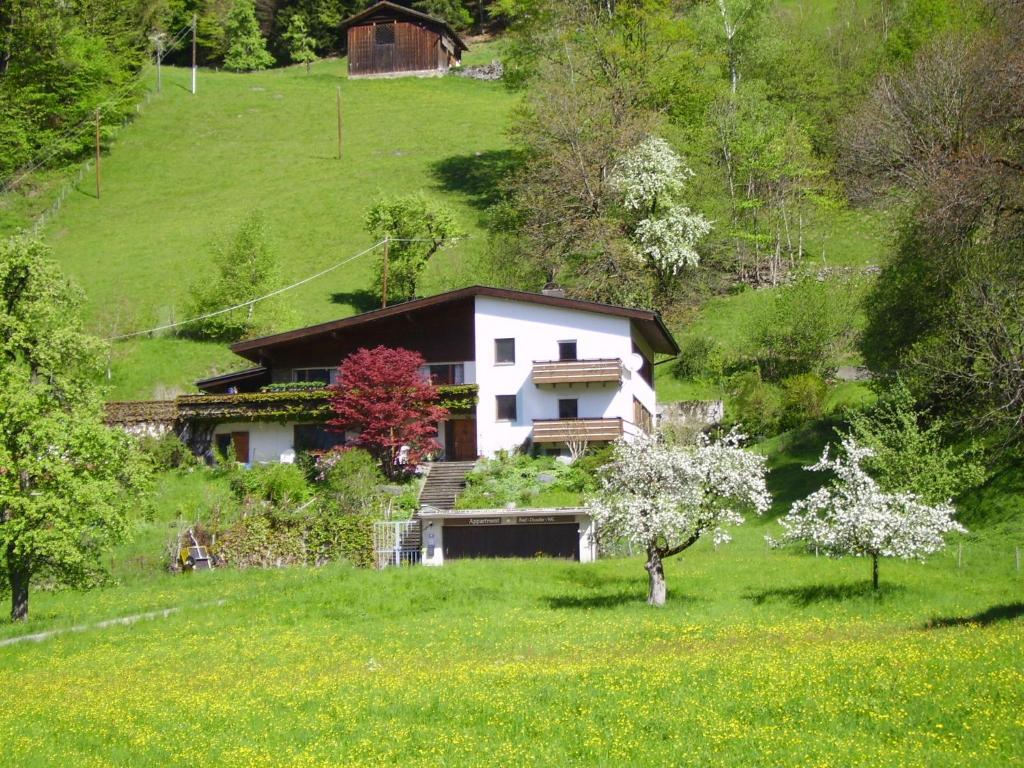 Sonnenhaus Sander photo