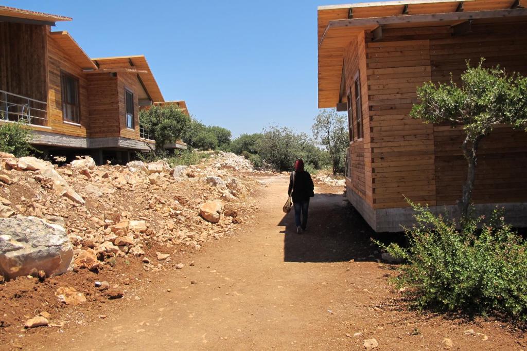 Ajloun Forest Reserve photo