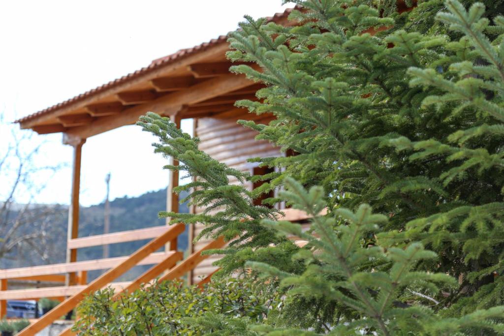 Orias Guesthouse & Farm photo