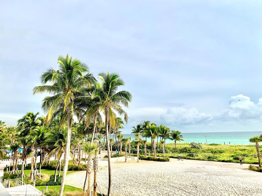 Broadmore Miami Beach image