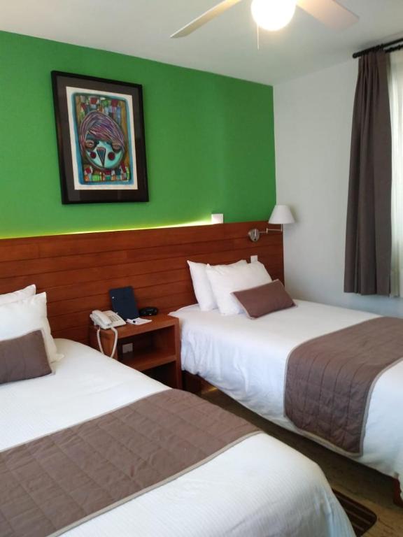 Araucaria Hotel Boutique photo