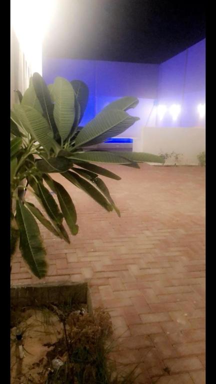 Chalet Laura in Yanbu photo