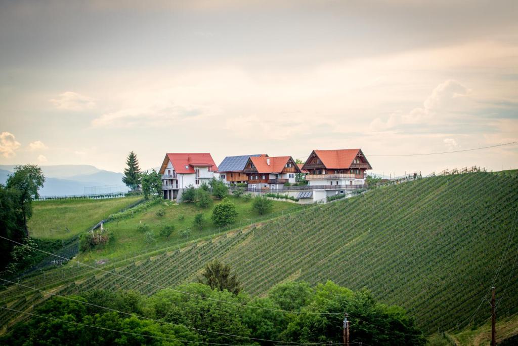 Ferienwohnung Traumaussicht - 4