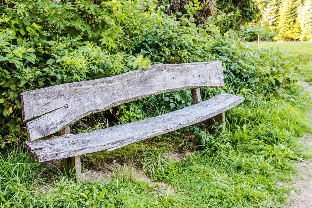 Sports and activities