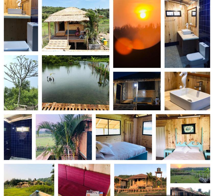 Moon Nest, Dhoāpālong