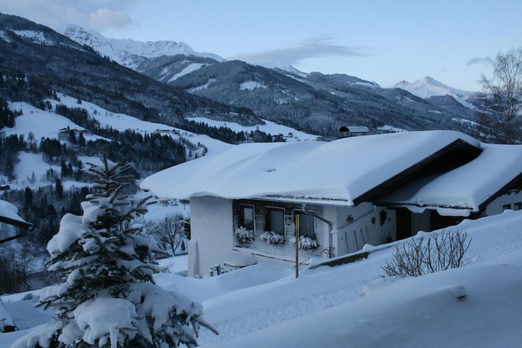 Schernthaner - 3