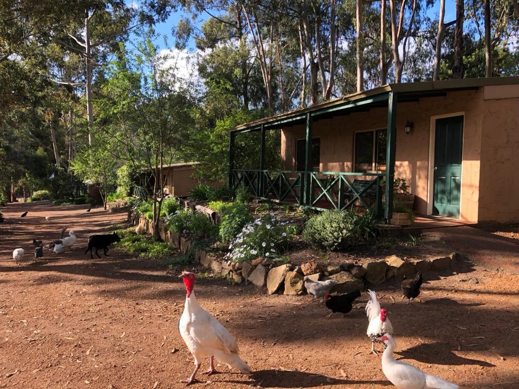 Country Cottages of Bridgetown — Hotel in Bridgetown