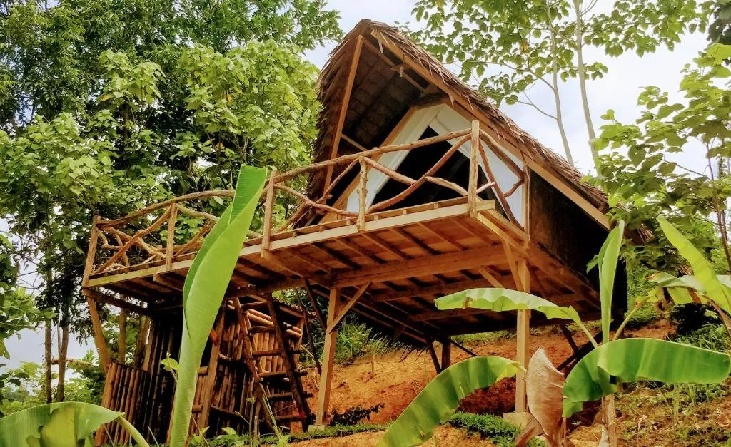 Jungle bar Resto & Cottages, hotel in Port Barton