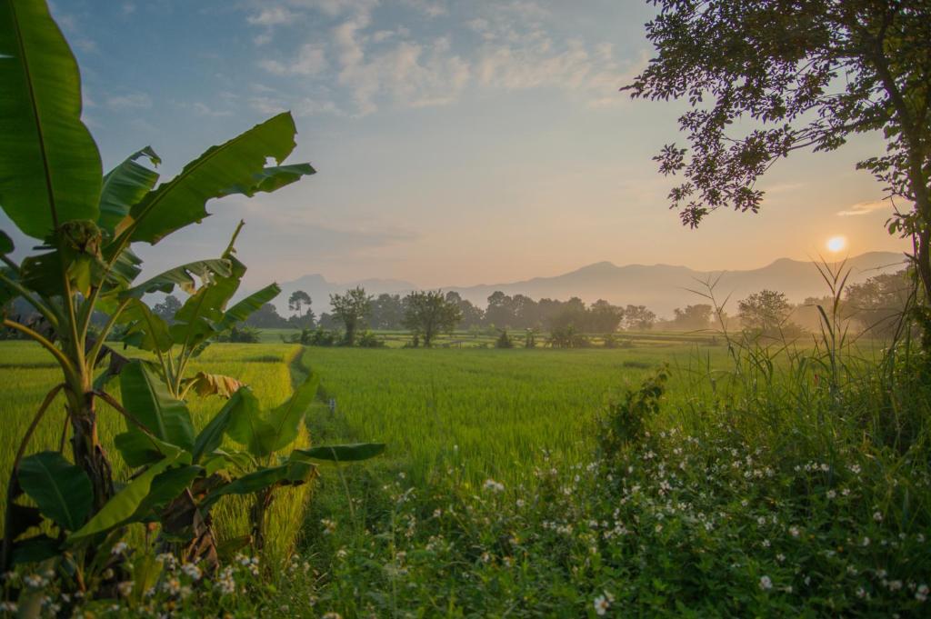 Surrounding environment