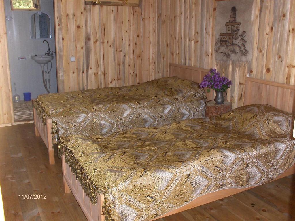 Guest House Mirgvela photo