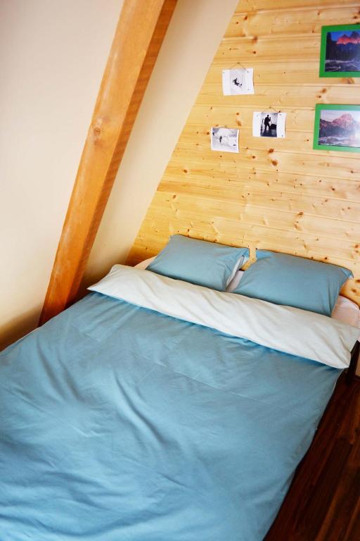 Cabin & Apartment Kopaonik - 2