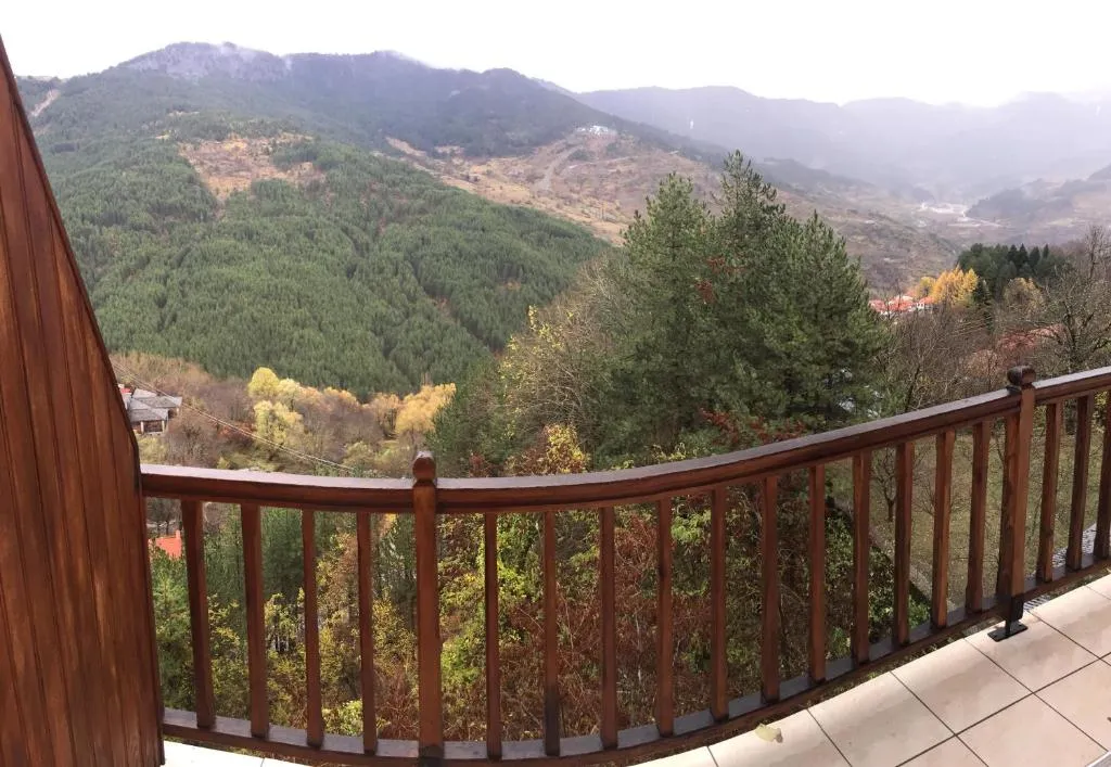 Hotel Anax, hotel in Metsovo