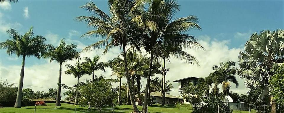 Island Goode's - Luxury Adult Only Accommodation near Hilo — Hotel in Papaikou (HI)