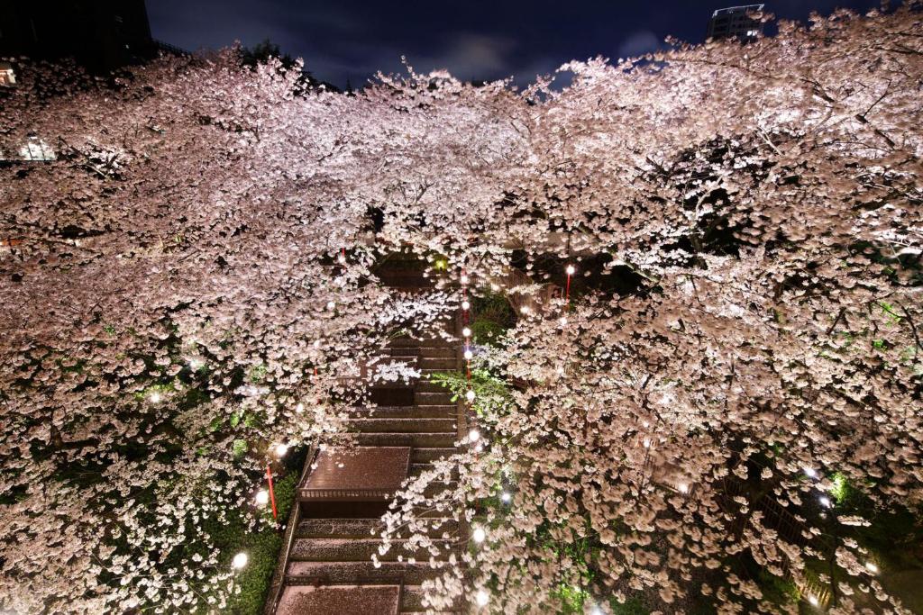 Surrounding environment