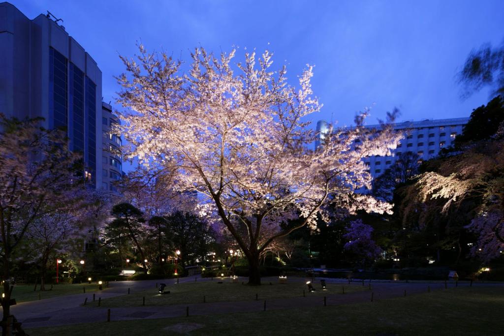 Surrounding environment