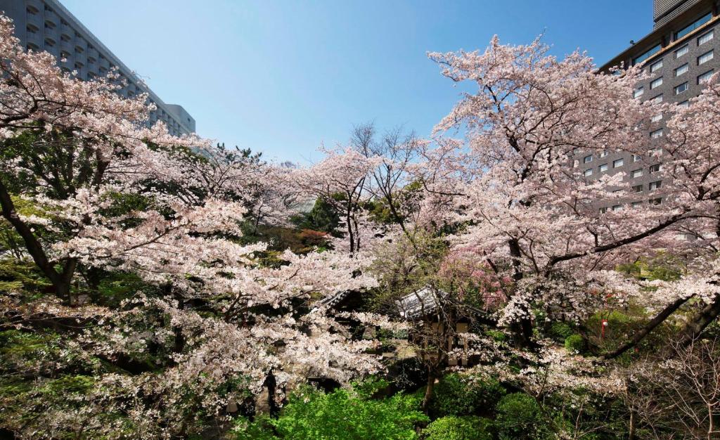 Surrounding environment