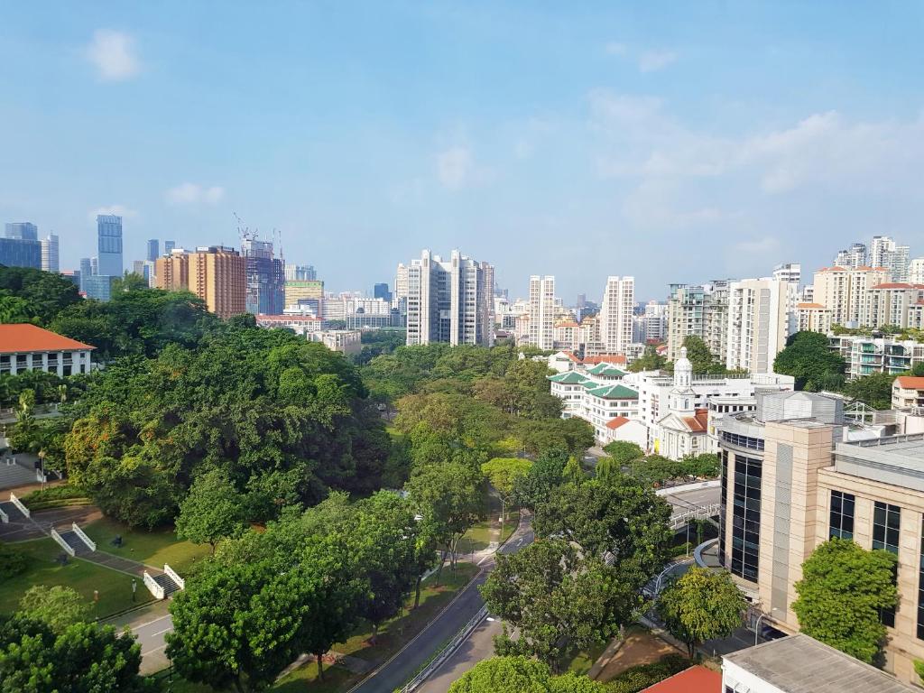 View